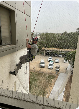 עבודה בגובה בסנפלינג — התקנת רשתות נגד יונים